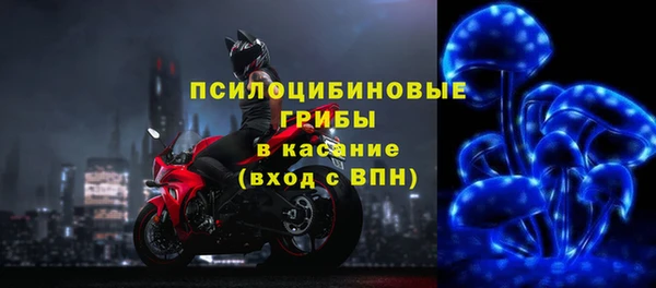apvp Бугульма