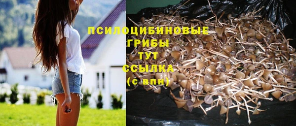 прущие крисы Бронницы