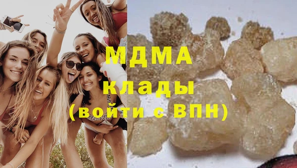 спиды Бородино