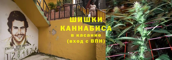 спиды Бородино