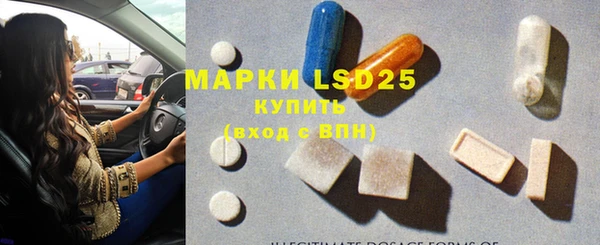 прущие грибы Липки