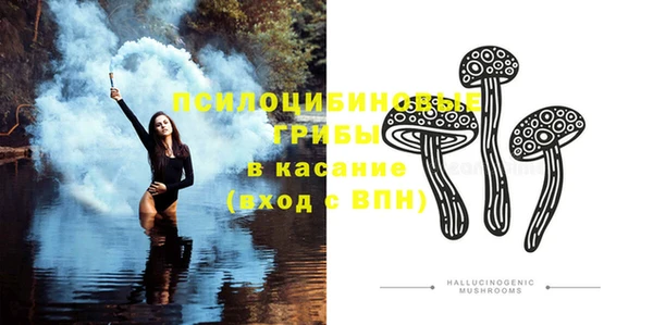 apvp Бугульма