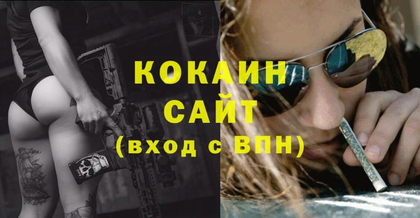 COCAINE Богородицк