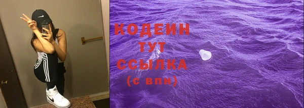 спиды Бородино